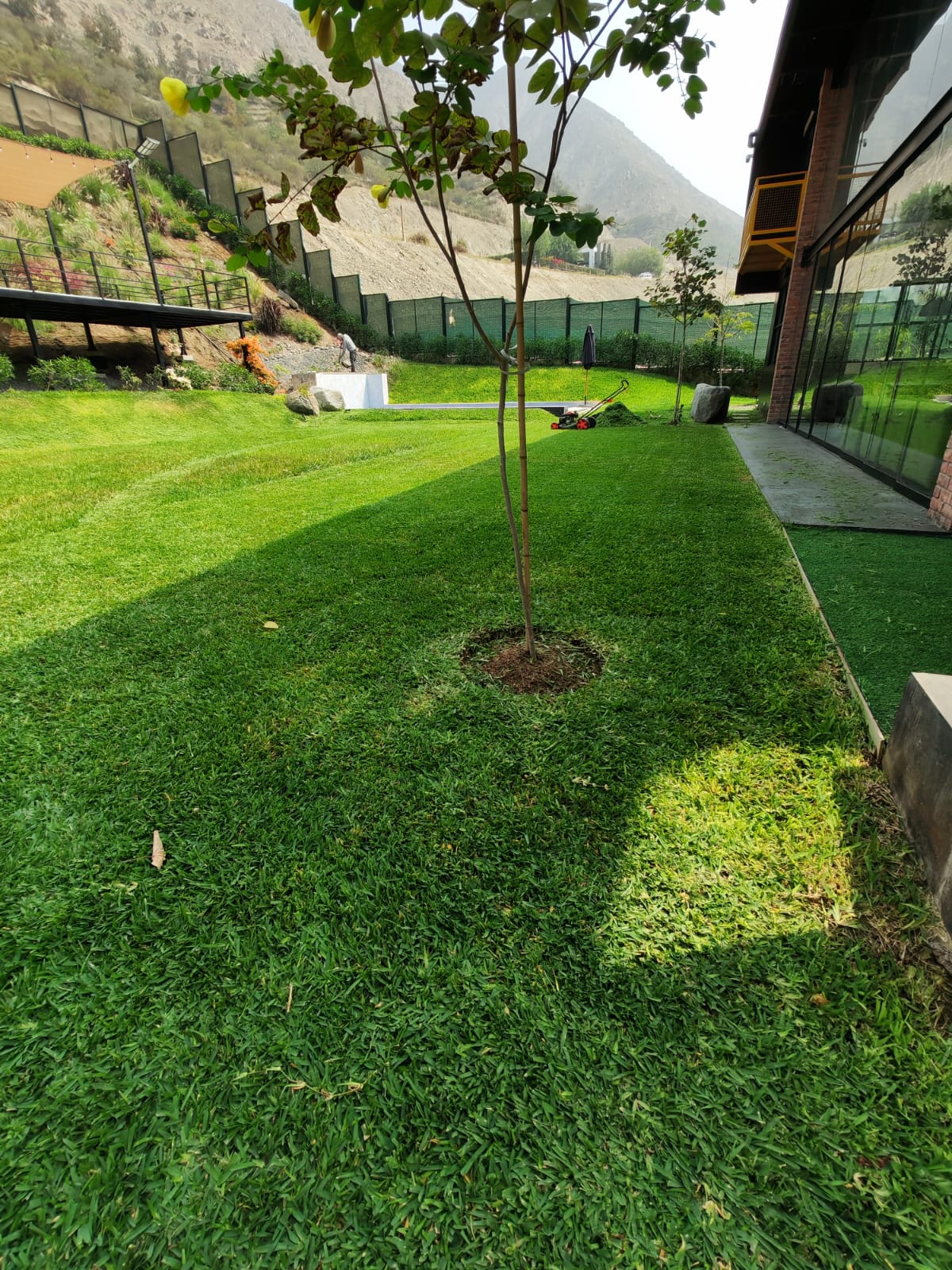 Plantas jardín Lima