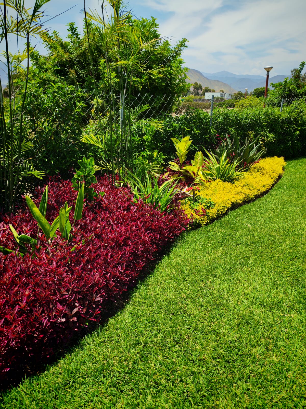 Riego para jardín vertical Lima