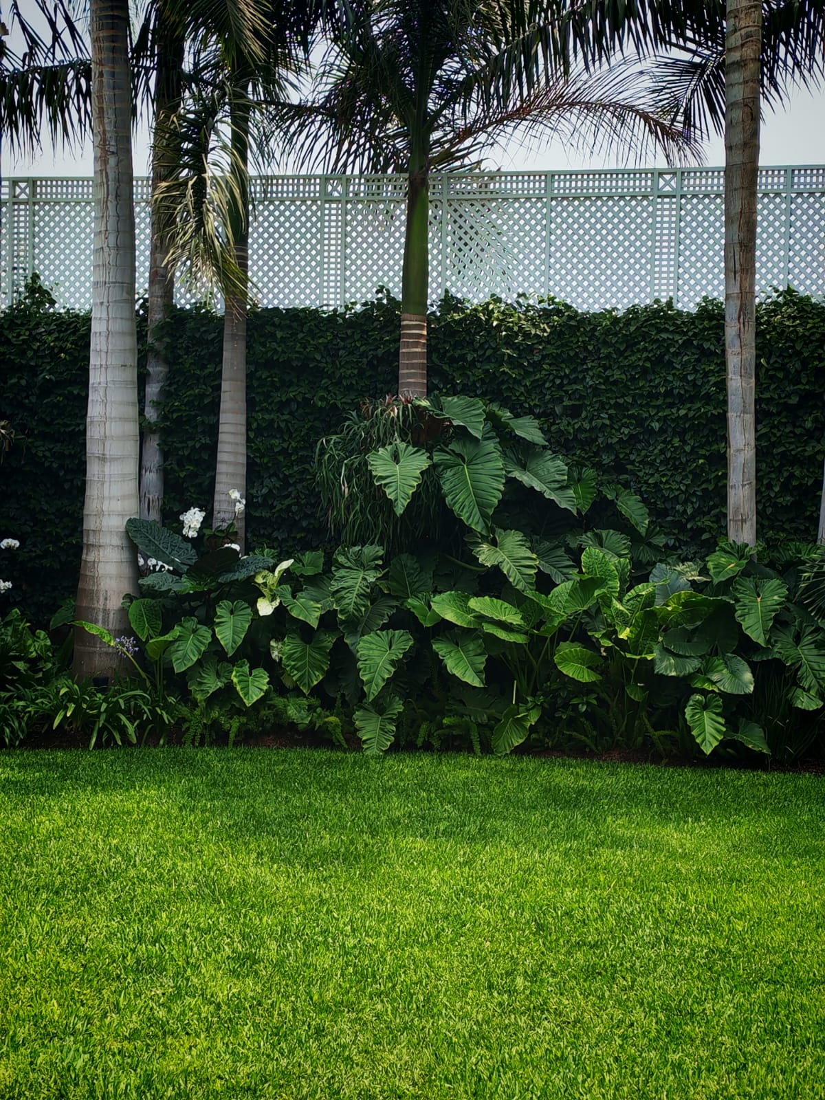 Riego por goteo jardín Lima