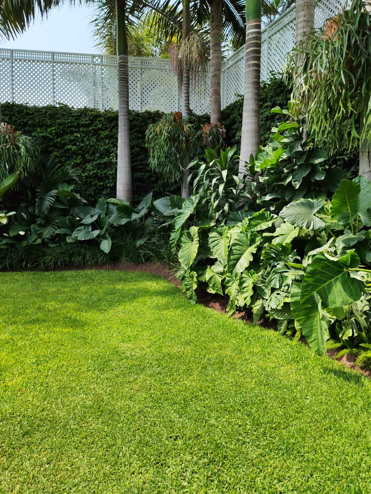 Sistema de riego para jardín Lima